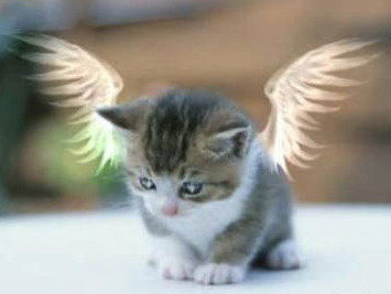 Анисимов Игорь