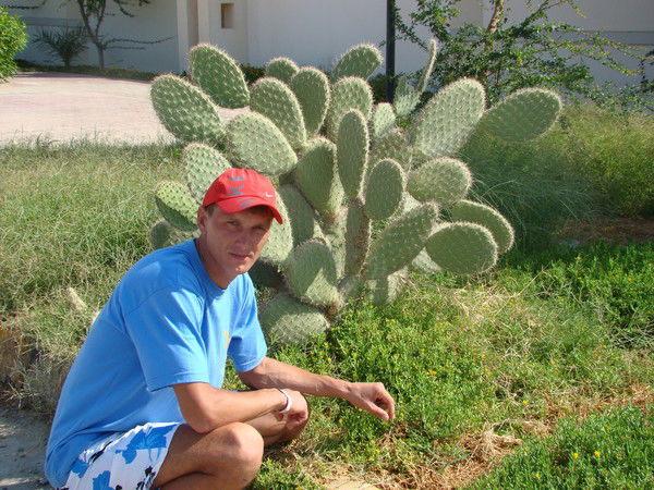 Александр Демидов