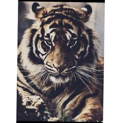 Нурик Исаев