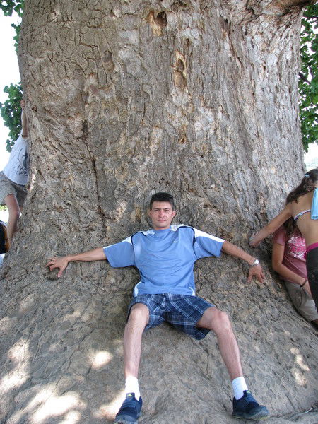 Денис Матвеев