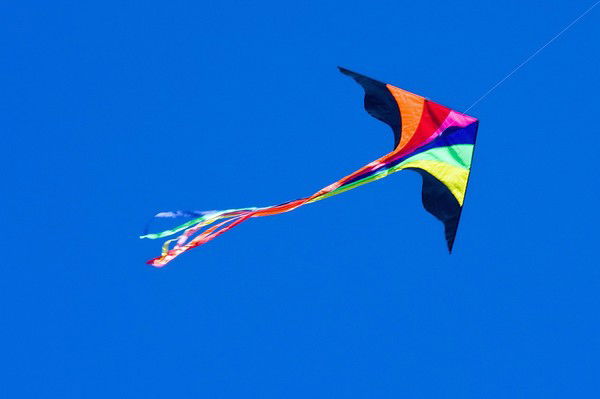 Вужик Вогнепальный