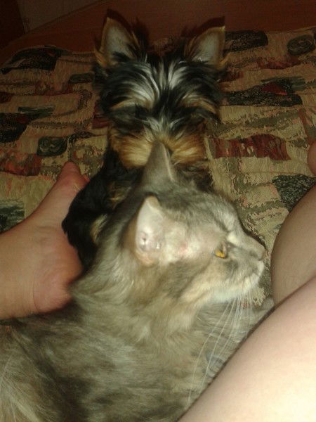 Оксана Фадеева