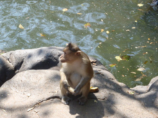 Сокровенная Тайна