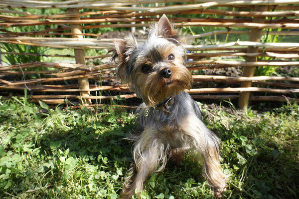 Михайлов Александр