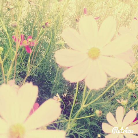 Ксения Лисицына