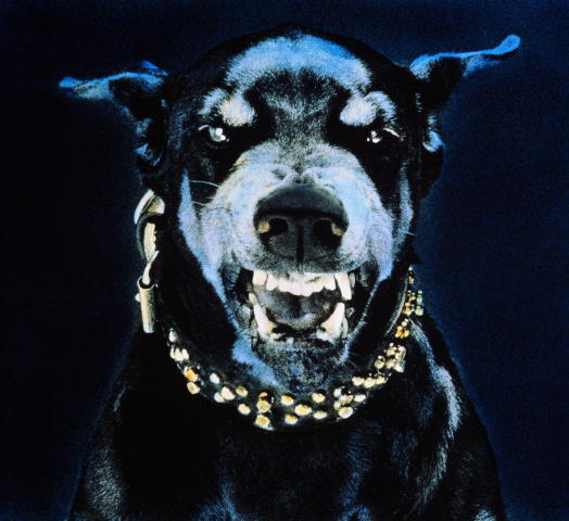 Павел Тишин