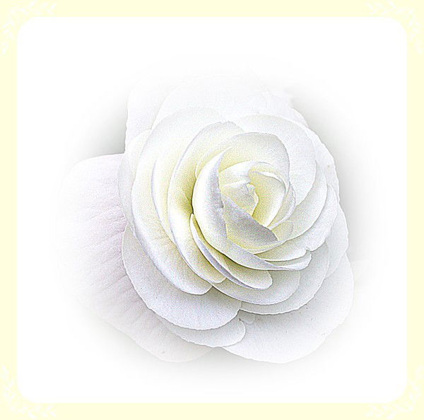 Лязат Туржанова