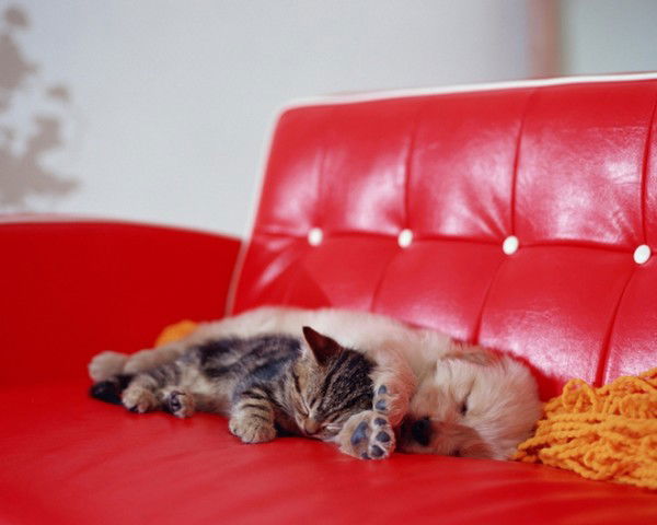 До Получки 50 Лет Влксм