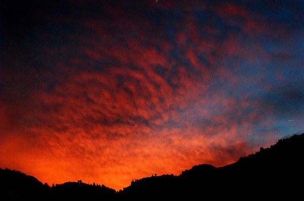 Евгений Элькинд