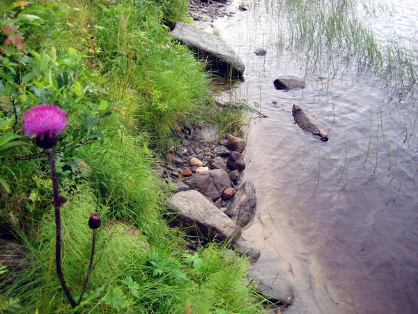 Надежда Герасименко