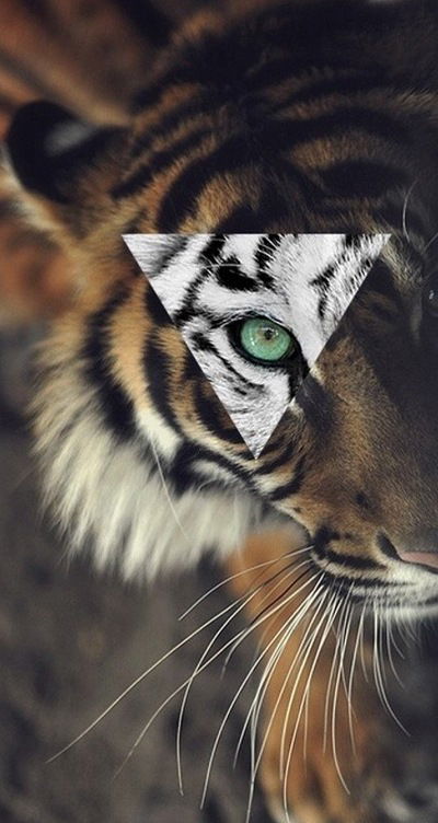 Алёна Куропаткина