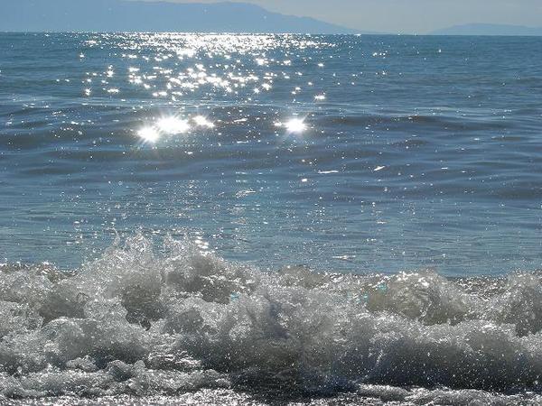 Толкын Жагыппарова (Сахариева)