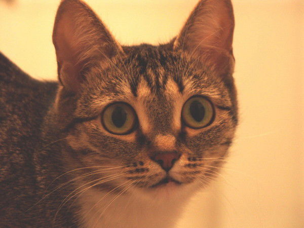 Анастасия Кругликова