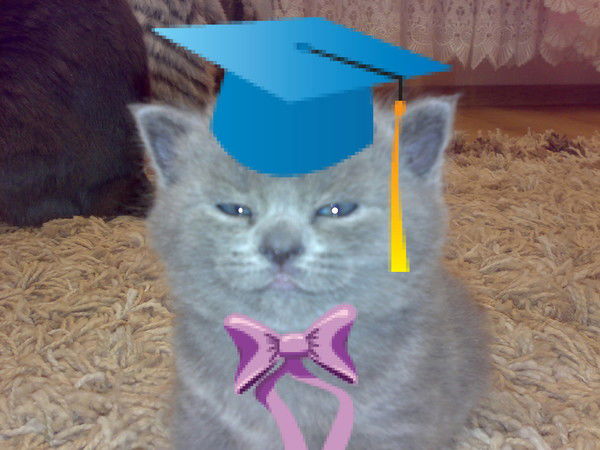 Александр Сенокос