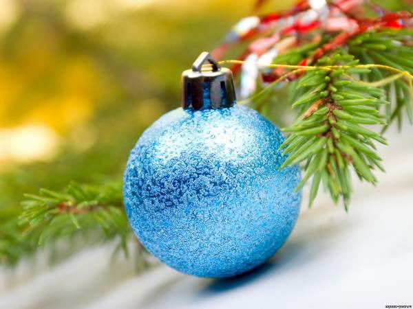 Cветлана Маер