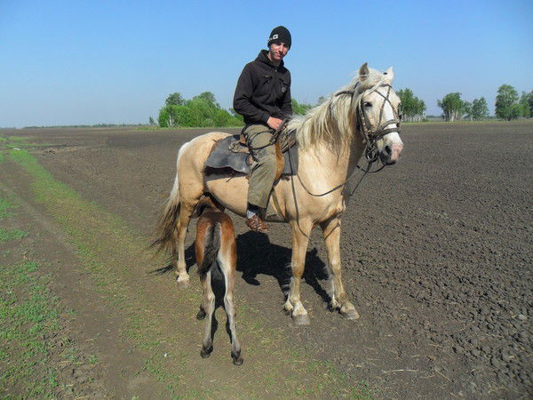 Диман Токарев