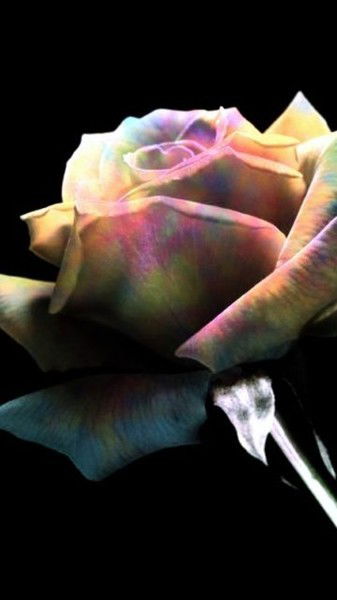 Влада Гаврилина