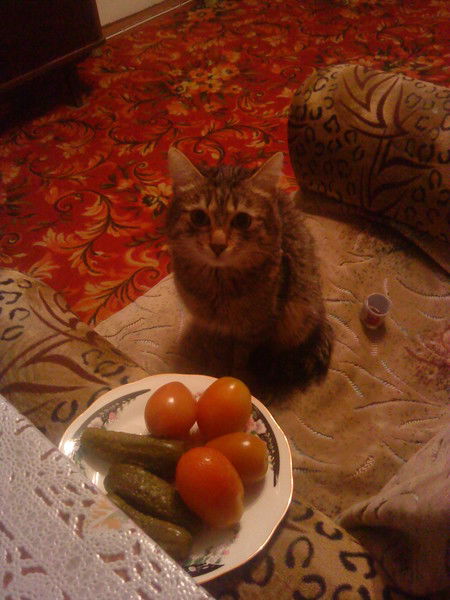 Макс Фаткулин