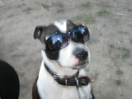 Зинаида Гаврилова