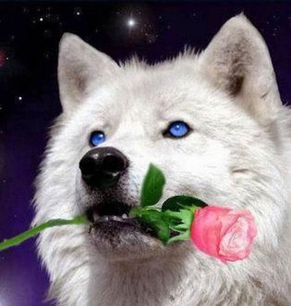 Люба Потапова