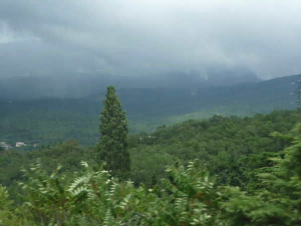 Наташа Фролова