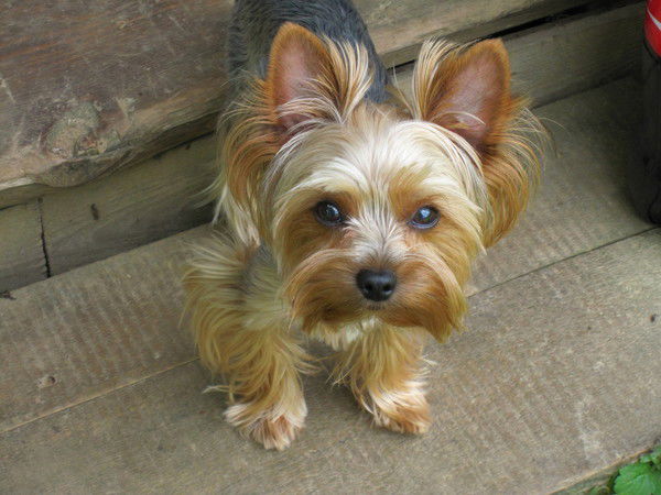 Лариса Кудряшова