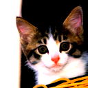 Людмила Скорик