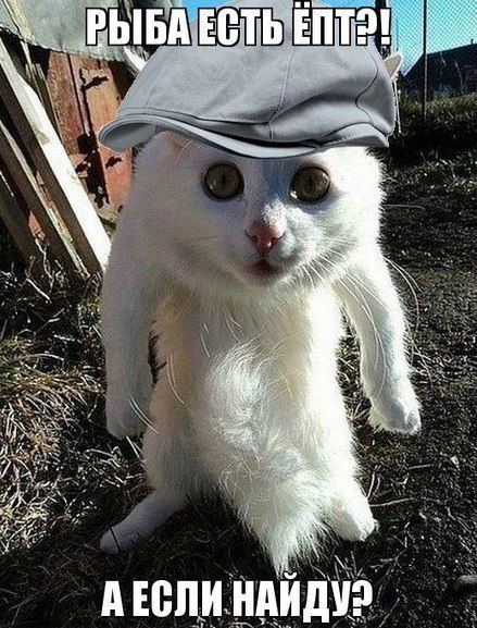 Сергей Старыгин