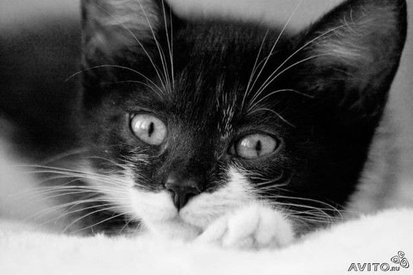 Татьяна Смирнова