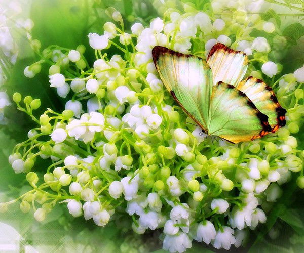 Виола Апрелева