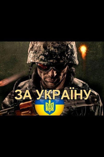 Владимир Писаренко