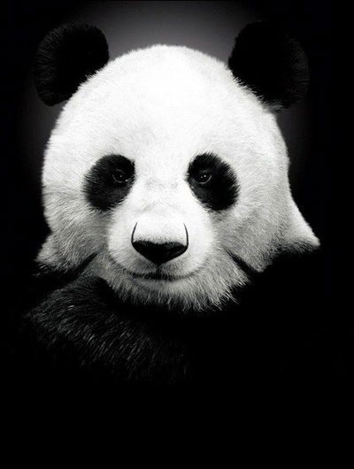 Стас Проскуров