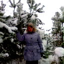 Елена Гимбут