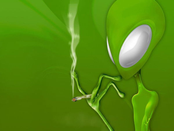 Алексей Кравченко