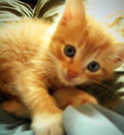 Гузель Сагадеева