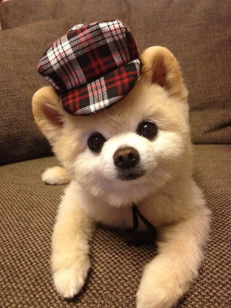 Челябинск Ш.руставели 10(1)