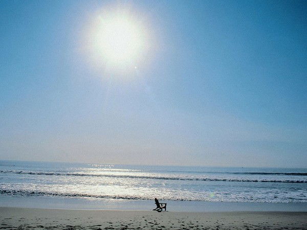 Соколов Сергей