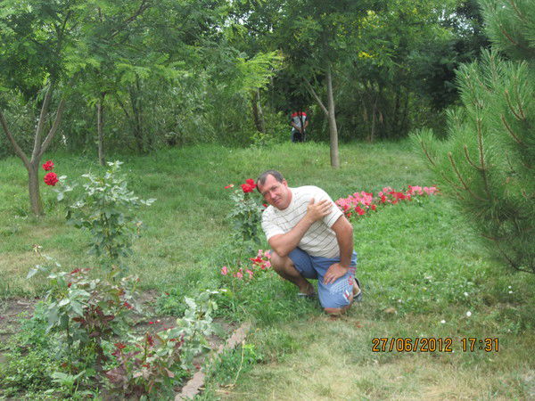 Николай Шикин