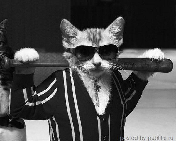 Павел Ситдиков