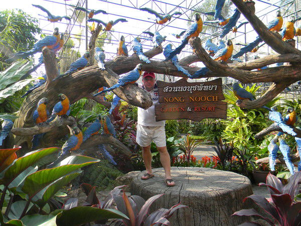 Сергей Царегородцев