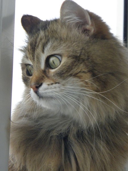 Гена Панькин