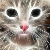 Галина Орлова