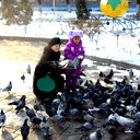 Елена Путинцева