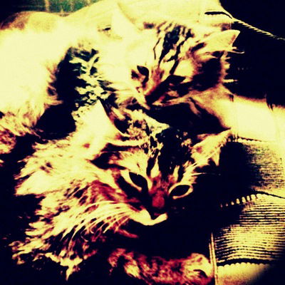 Рэм Васягин