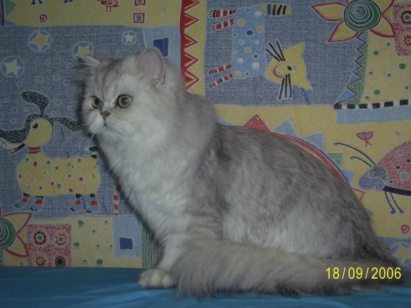 Галина Мордвинцева