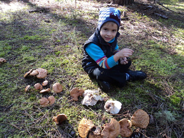 Наталья Маховикова