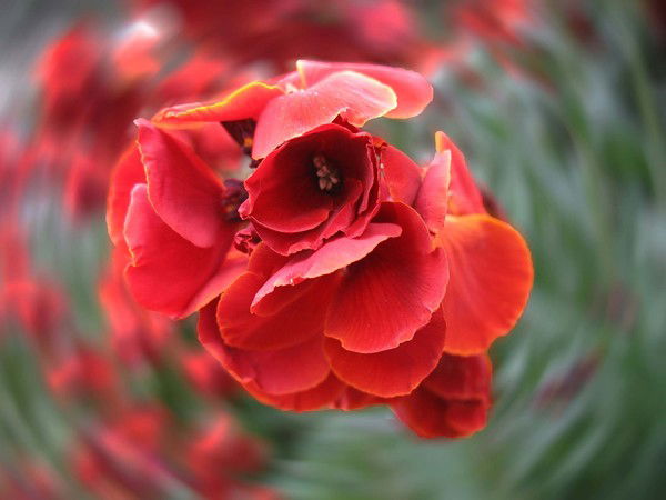 Наталья $$$$$$$$