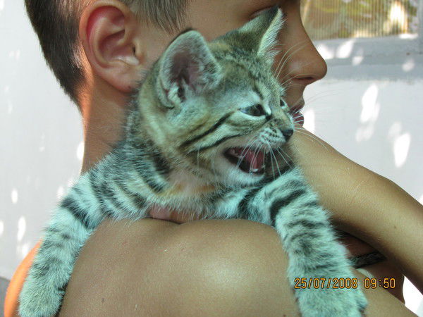 Михаил Шаховцев