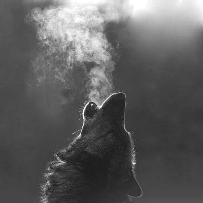 Михаил Пилипенко