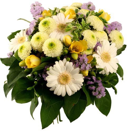 Любовь Попова